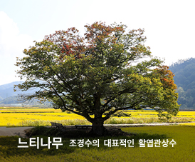 ��Ƽ����