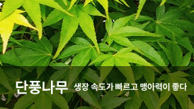 ��ǳ����