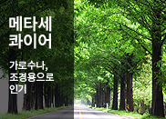 ��Ÿ�����̾�