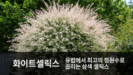 ȭ��Ʈ������