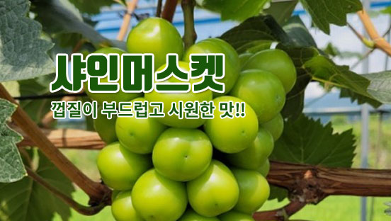 ���θӽ���