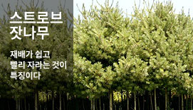 ��Ʈ�κ��㳪��