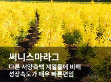 ��Ͻ������