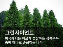 �׸����̾�Ʈ