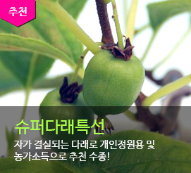 ���۴ٷ�Ư��