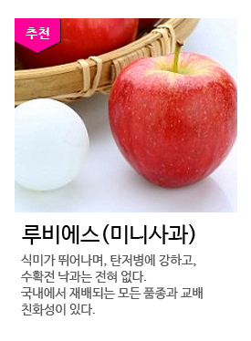 ��񿡽�(�̴ϻ��)