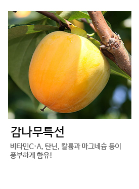 ������Ư��