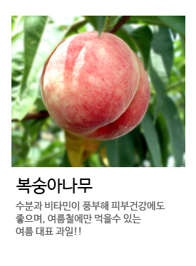 �����Ƴ���