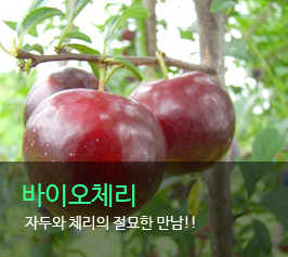 ���̿�ü��