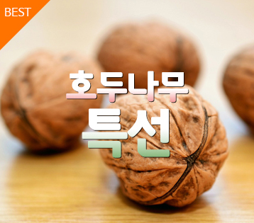 ȣ�γ���Ư��