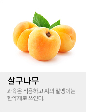 �챸����