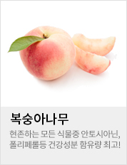 �����Ƴ���