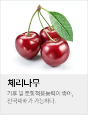 ü������