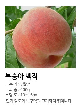 �����ƹ���