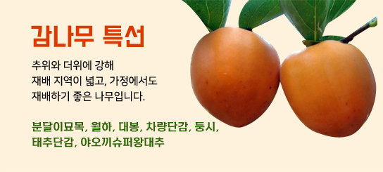 ������Ư��