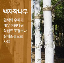 �����۳���