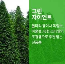 �׸����̾�Ʈ