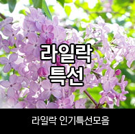 ���϶�Ư��