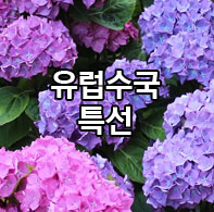 ��������Ư��