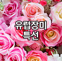 �������Ư��