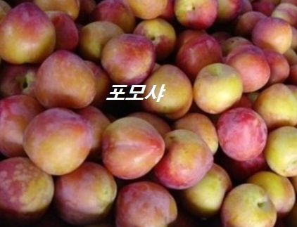 콺 ŬϽø ̹ Ǽ ֽϴ.