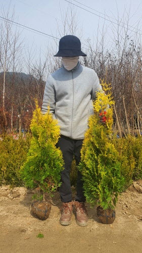 콺 ŬϽø ̹ Ǽ ֽϴ.