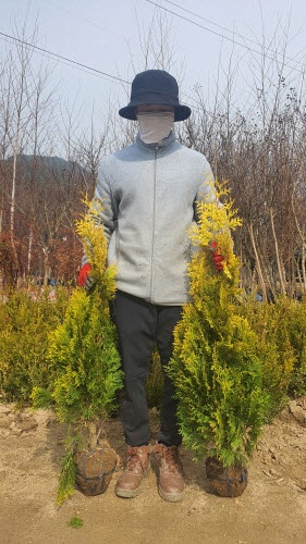 콺 ŬϽø ̹ Ǽ ֽϴ.