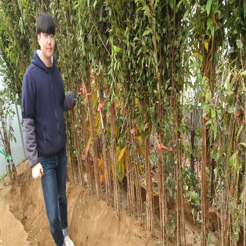콺 ŬϽø ̹ Ǽ ֽϴ.