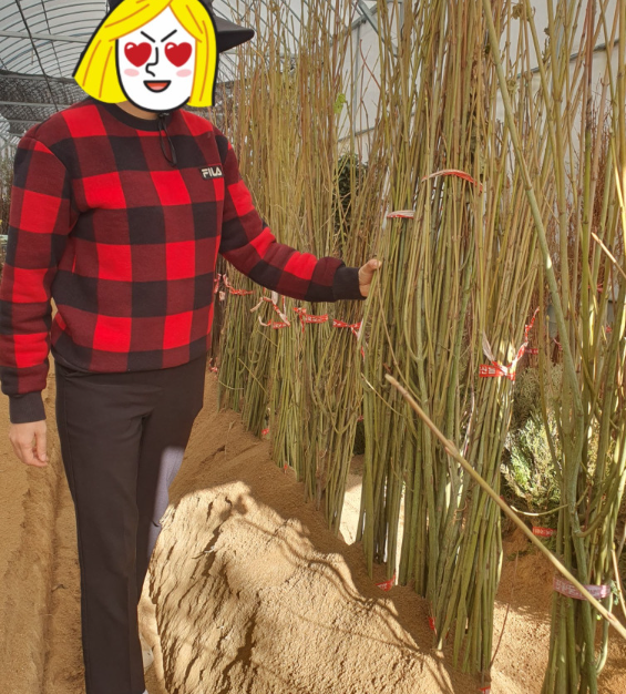 콺 ŬϽø ̹ Ǽ ֽϴ.