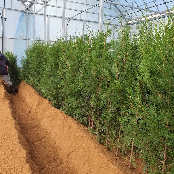 콺 ŬϽø ̹ Ǽ ֽϴ.