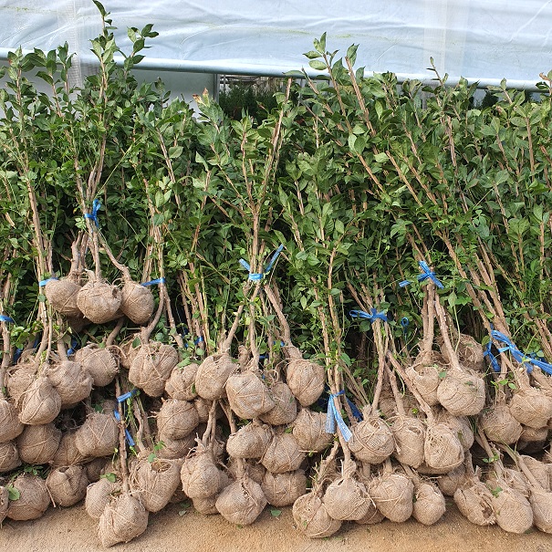 콺 ŬϽø ̹ Ǽ ֽϴ.