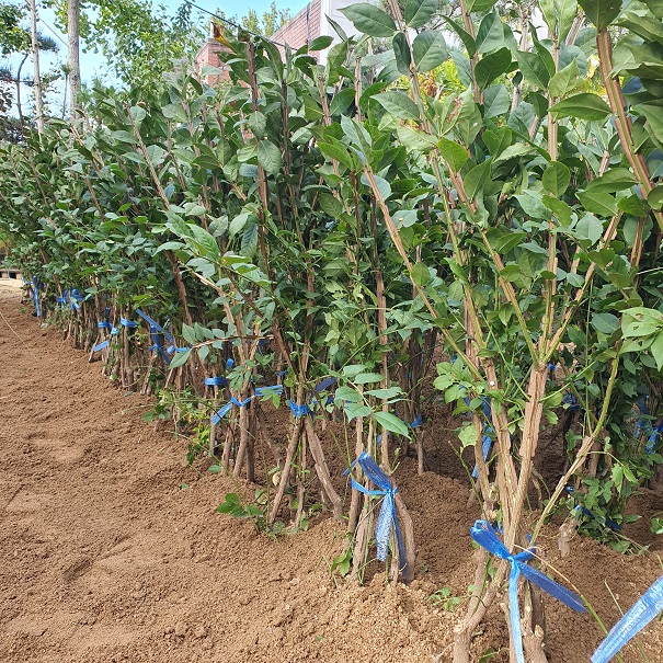 콺 ŬϽø ̹ Ǽ ֽϴ.