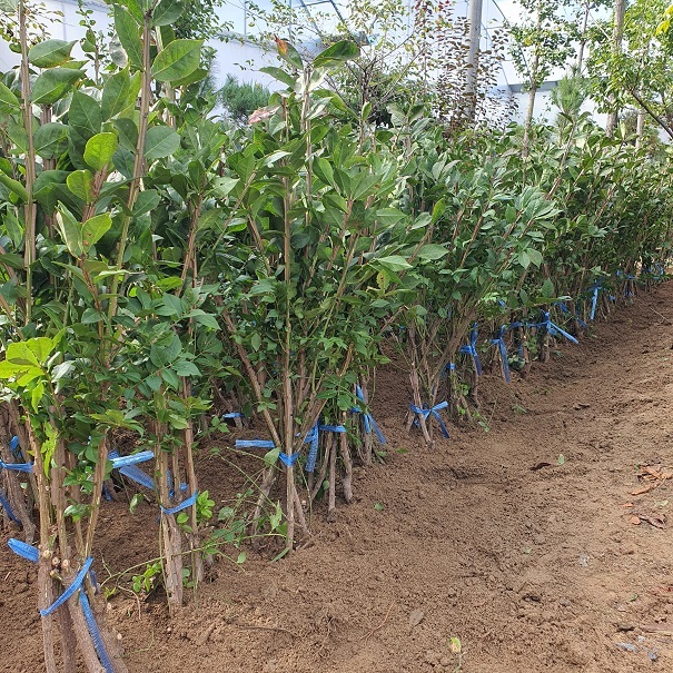 콺 ŬϽø ̹ Ǽ ֽϴ.