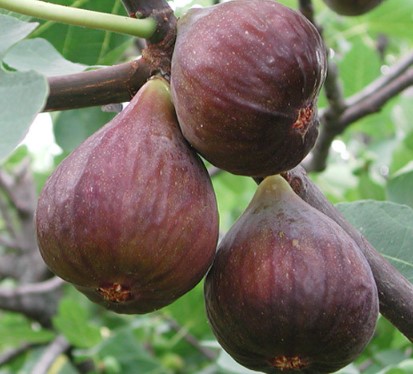 ���콺�� Ŭ���Ͻø� �����̹����� ���Ǽ� �ֽ��ϴ�.