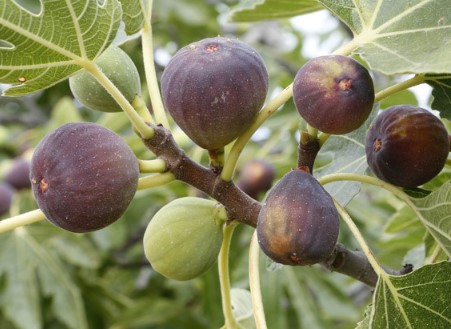 ���콺�� Ŭ���Ͻø� �����̹����� ���Ǽ� �ֽ��ϴ�.