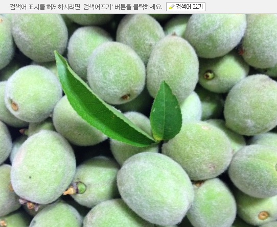 콺 ŬϽø ̹ Ǽ ֽϴ.