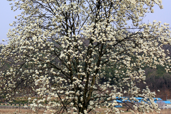 콺 ŬϽø ̹ Ǽ ֽϴ.