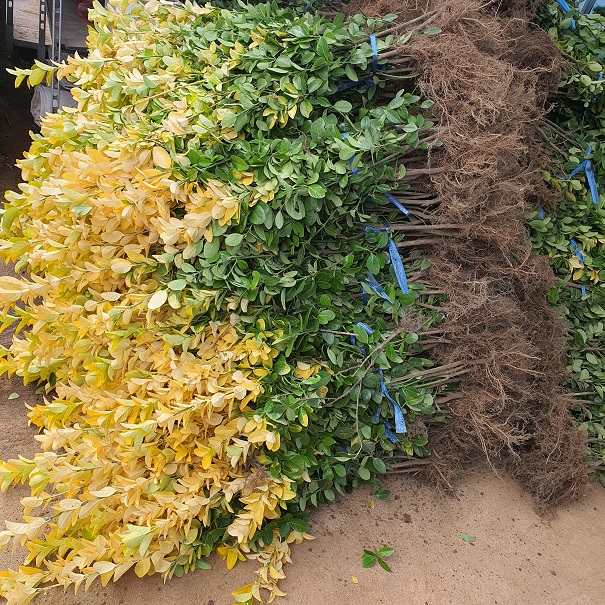 콺 ŬϽø ̹ Ǽ ֽϴ.