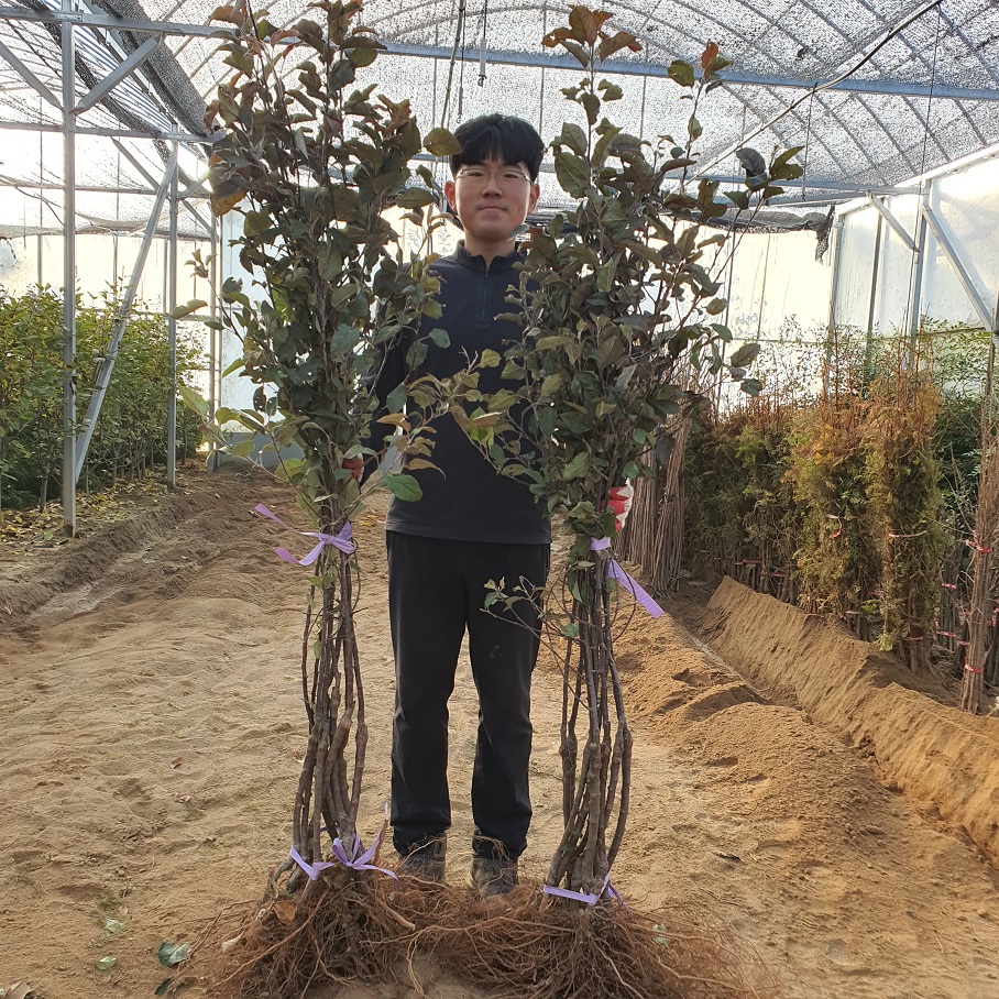 콺 ŬϽø ̹ Ǽ ֽϴ.