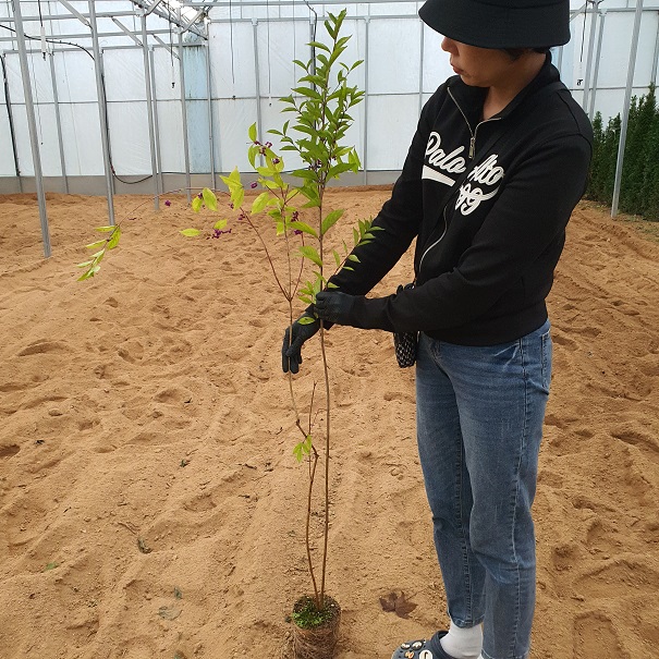 ���콺�� Ŭ���Ͻø� �����̹����� ���Ǽ� �ֽ��ϴ�.