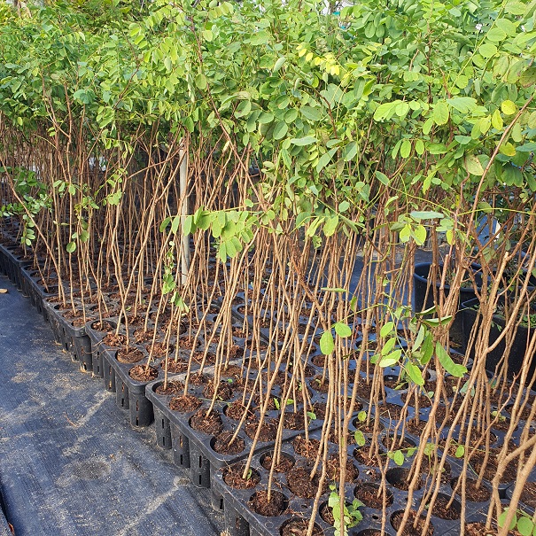 콺 ŬϽø ̹ Ǽ ֽϴ.