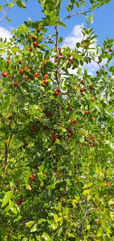 콺 ŬϽø ̹ Ǽ ֽϴ.