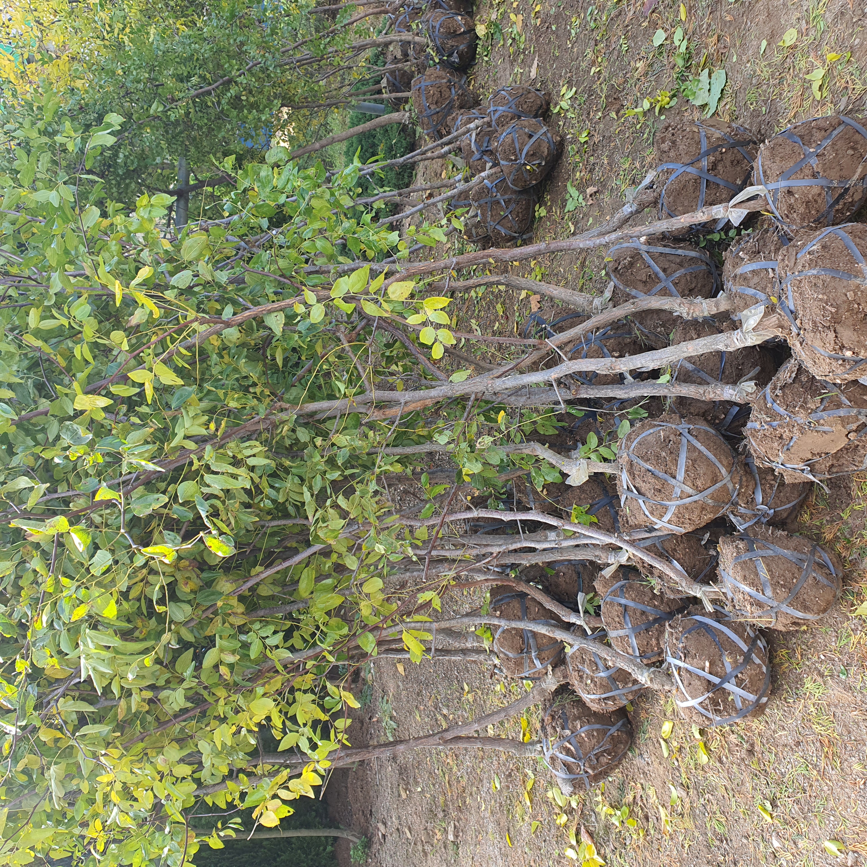 콺 ŬϽø ̹ Ǽ ֽϴ.