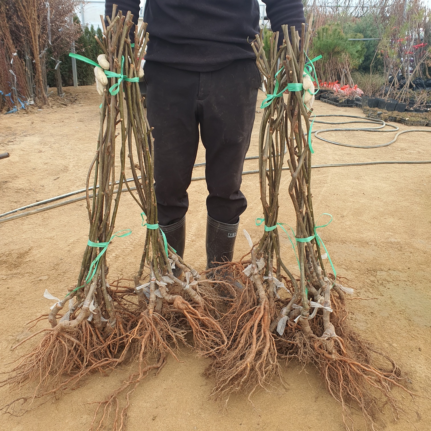 ���콺�� Ŭ���Ͻø� �����̹����� ���Ǽ� �ֽ��ϴ�.