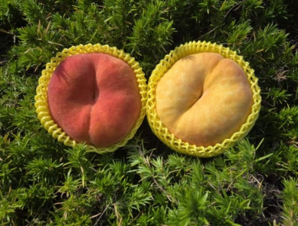 ���콺�� Ŭ���Ͻø� �����̹����� ���Ǽ� �ֽ��ϴ�.