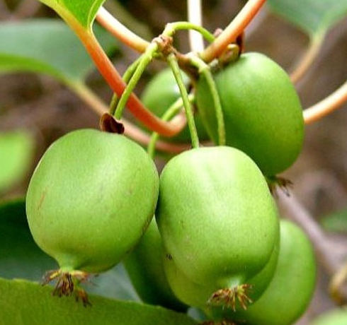 ���콺�� Ŭ���Ͻø� �����̹����� ���Ǽ� �ֽ��ϴ�.