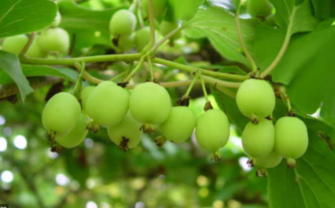 ���콺�� Ŭ���Ͻø� �����̹����� ���Ǽ� �ֽ��ϴ�.