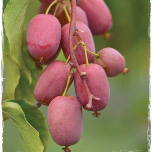 ���콺�� Ŭ���Ͻø� �����̹����� ���Ǽ� �ֽ��ϴ�.