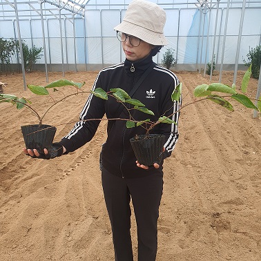 ���콺�� Ŭ���Ͻø� �����̹����� ���Ǽ� �ֽ��ϴ�.